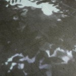 http://partner.lightizm.com/files/gimgs/th-76_71_Nostalgia1_v2.jpg