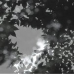 http://partner.lightizm.com/files/gimgs/th-76_71_Nostalgia2_v2.jpg